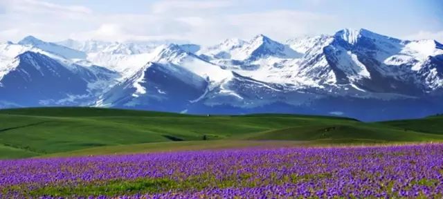 新疆，神秘多元魅力之地的探索与揭秘